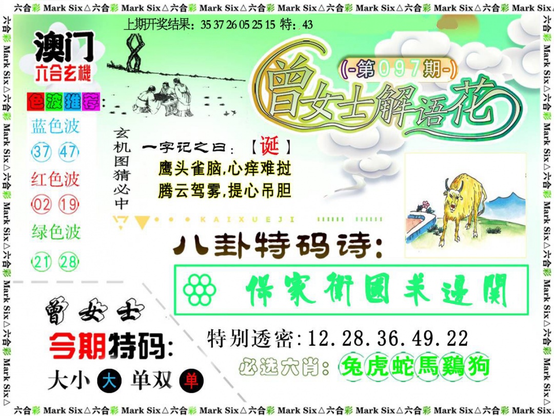 097期曾女士解语花[图]